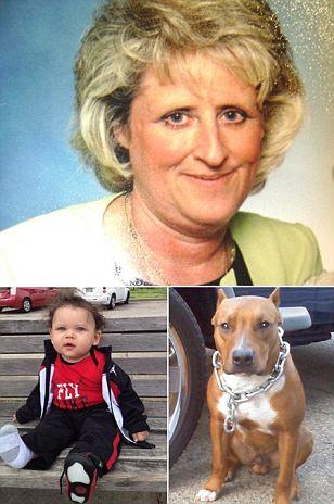 美國老太被自家狗咬死 2歲外孫目擊全過程(圖) 美國老太被自家狗咬死 2歲外孫目擊全過程(圖)