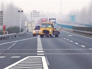 2米高鴕鳥撞破收費站護欄，高速上狂奔8公里。