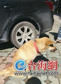 事發(fā)現場