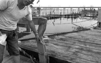 鼻孔里凝著血痂、全身多處擦傷的周先生仍有些驚魂未定。