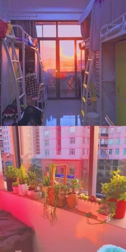 這個學(xué)校的男生宿舍火了！女同學(xué)都喊著要嫁