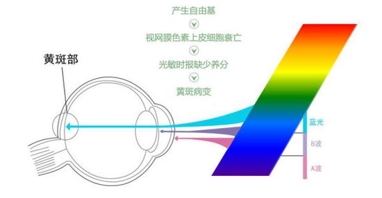 真能亮瞎眼？如何減少手機對眼睛的傷害