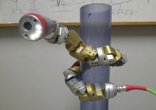 美高校研制新型機(jī)器蛇 可潛伏在樹上執(zhí)行偵察任務(wù) 美高校研制新型機(jī)器蛇 可潛伏在樹上執(zhí)行偵察任務(wù)