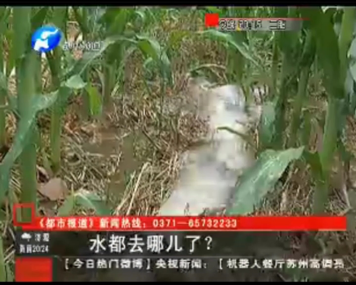 水都去哪了？