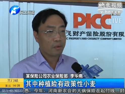 冰雹惹禍 損失能索賠嗎？