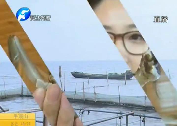 陽澄湖大閘蟹？假的！