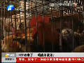 H7N9來了 雞該不該殺？