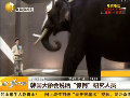 韓國(guó)大象說話 研究人員分析稱太寂寞