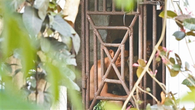 美聯(lián)社記者揭東南亞漁業(yè)奴隸：關鐵籠 被虐打