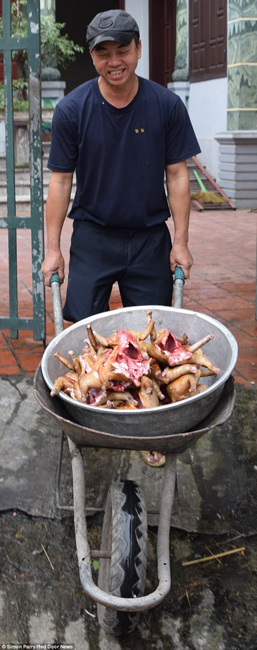 越南貓肉餐廳：將貓淹死、剝皮、切成小塊，再油炸
